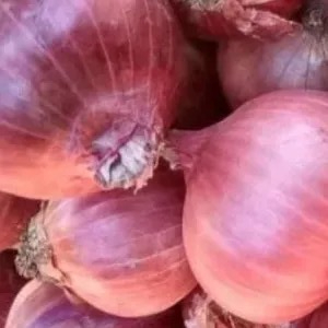 

bawang merah india 250g