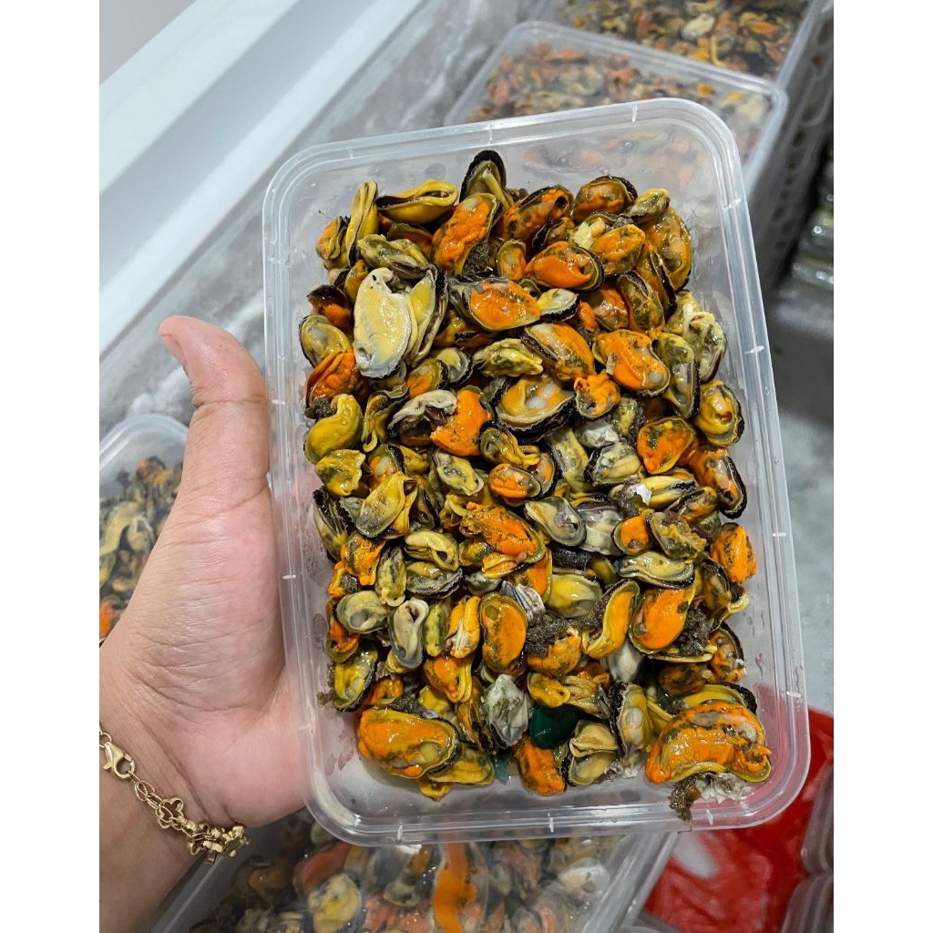 

kerang hijau kupas 350 gram