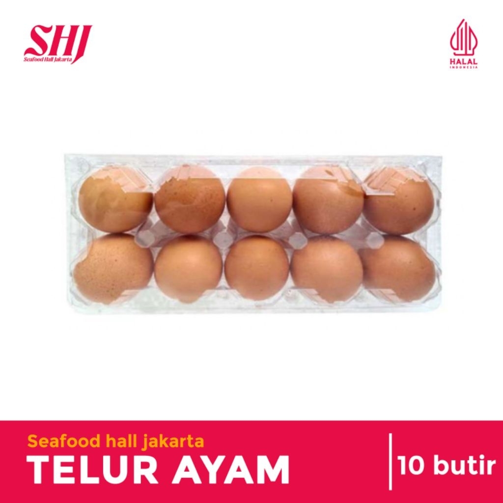 

Telur Ayam Kampung 10 Butir