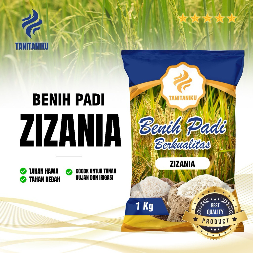 Benih padi bibit padi ZIZANIA original kemasan 1 kg