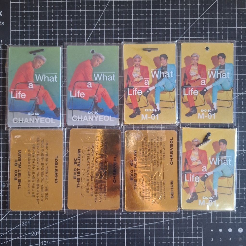 EXO-SC Sehun Chanyeol Official Photocard PC 1st Album What a Life