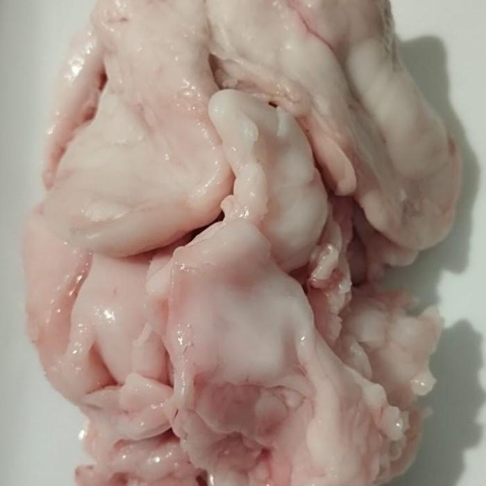 

Lemak Kelinci | Rabbit fat 1 kilogram