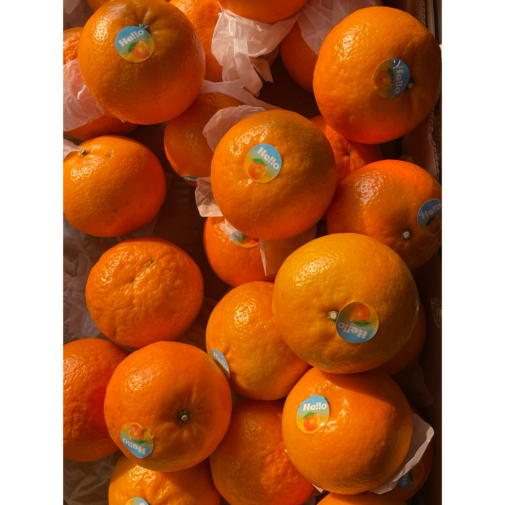 Jeruk Wokam Wogan Mandarin