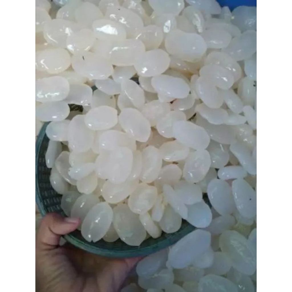 

kolang Kaling segar 1kg