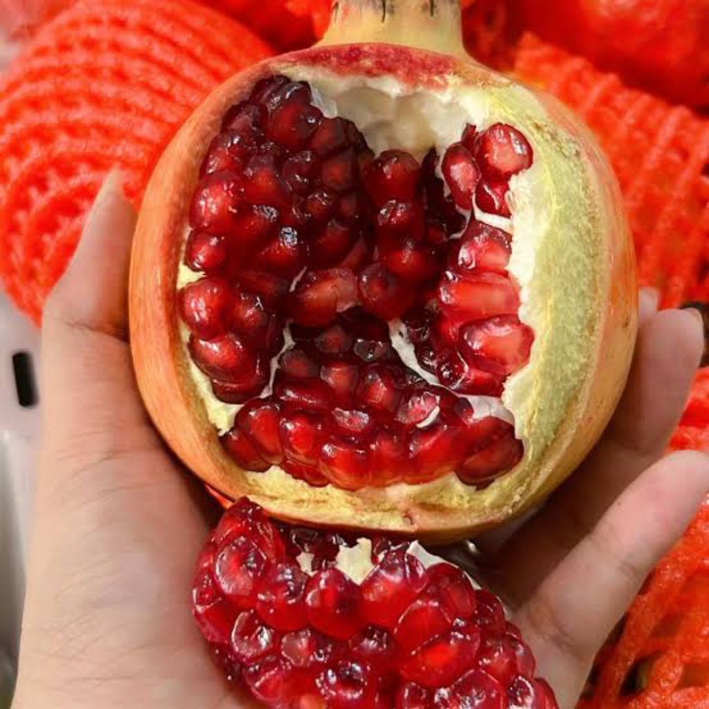 

Jual delima merah import per biji