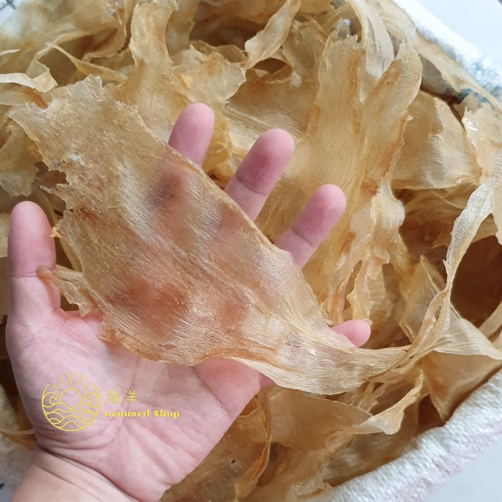 

HIPIO PATIN BESAR KERING SUPER BERKUALITAS BIASA DIPAKAI DI RESTORAN YI PHIAU HUPIO PERUT GELEMBUNG IKAN PUTIH CINA BELLY FISH BAHAN SUP HERBAL HISIT HAISOM SCALLOP ABALONE KERAPU KC MANYUNG MAYONG MALONG HAISOM GOSOK TERIPANG DURI KAKAP MERAH