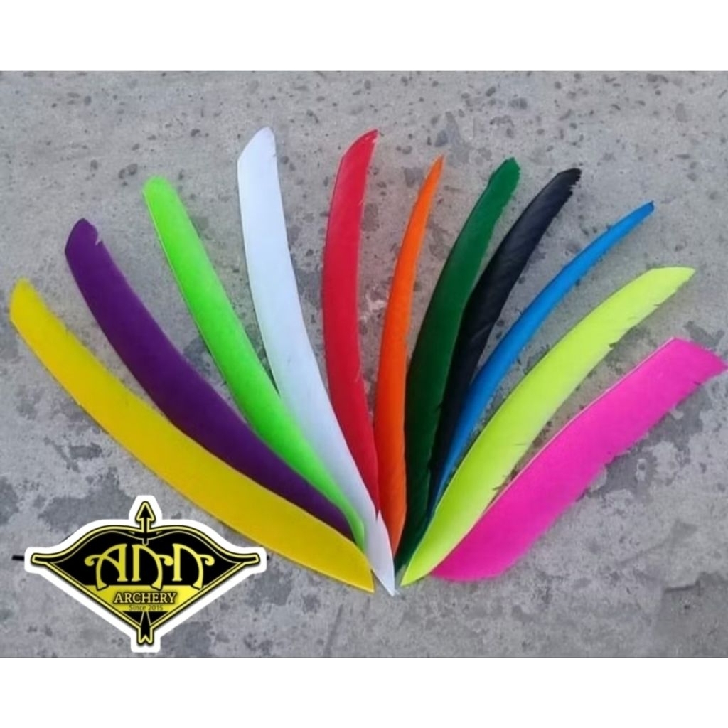 Bulu Kalkun Impor Utuh