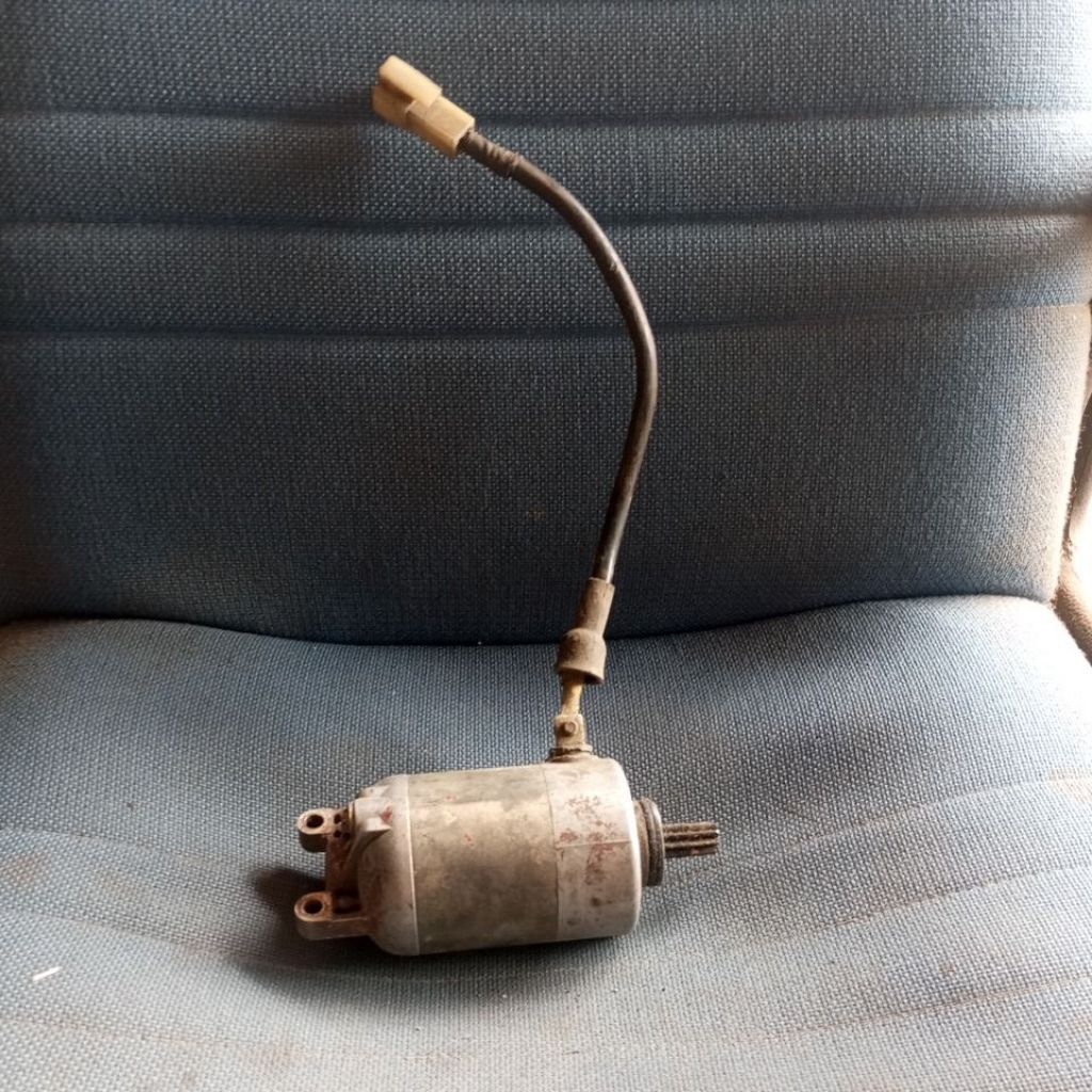 dinamo stater mio sporty