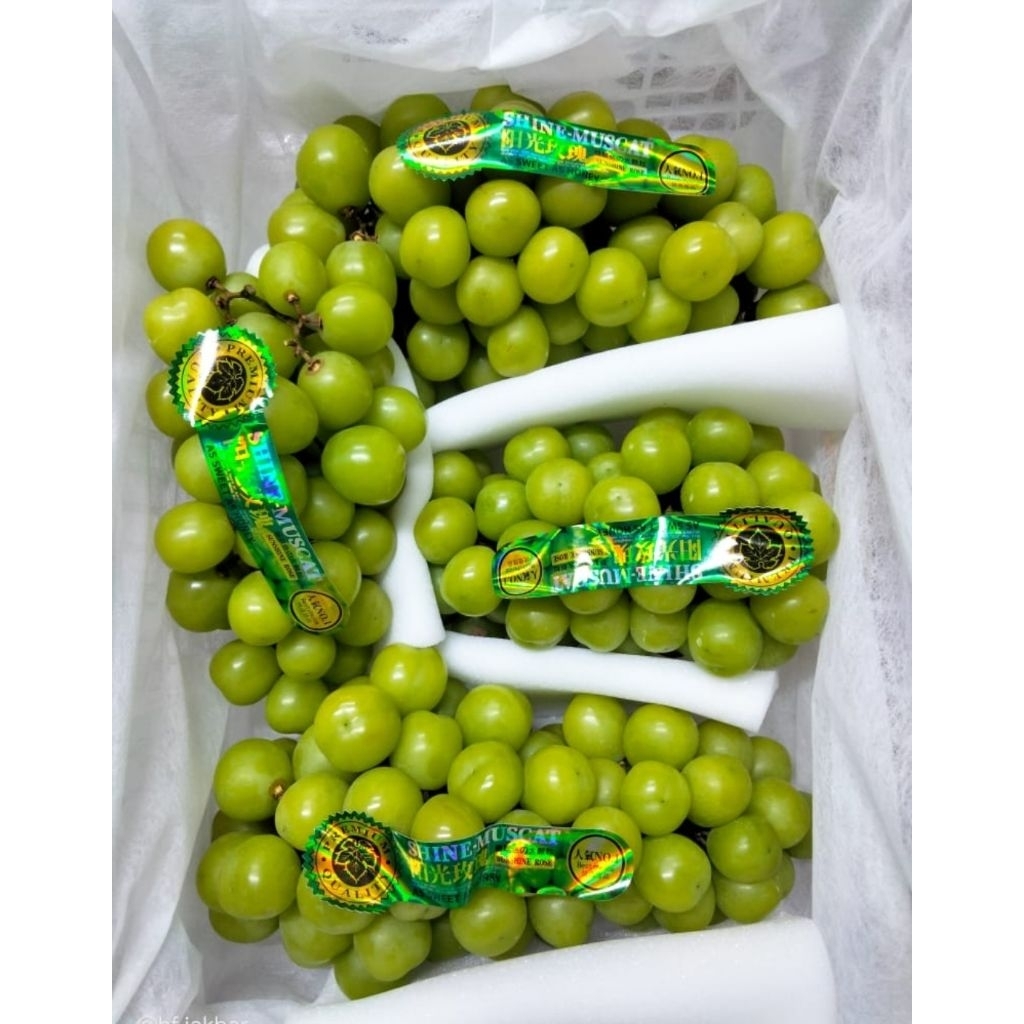 Anggur Shine Muscat Curah 4.5 Kg