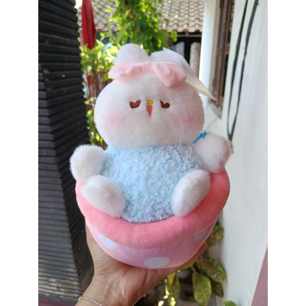 Boneka Kelinci || Boneka Kkv || Boneka Oh Some || Boneka Import || Boneka Funni Fun || Boneka Capit