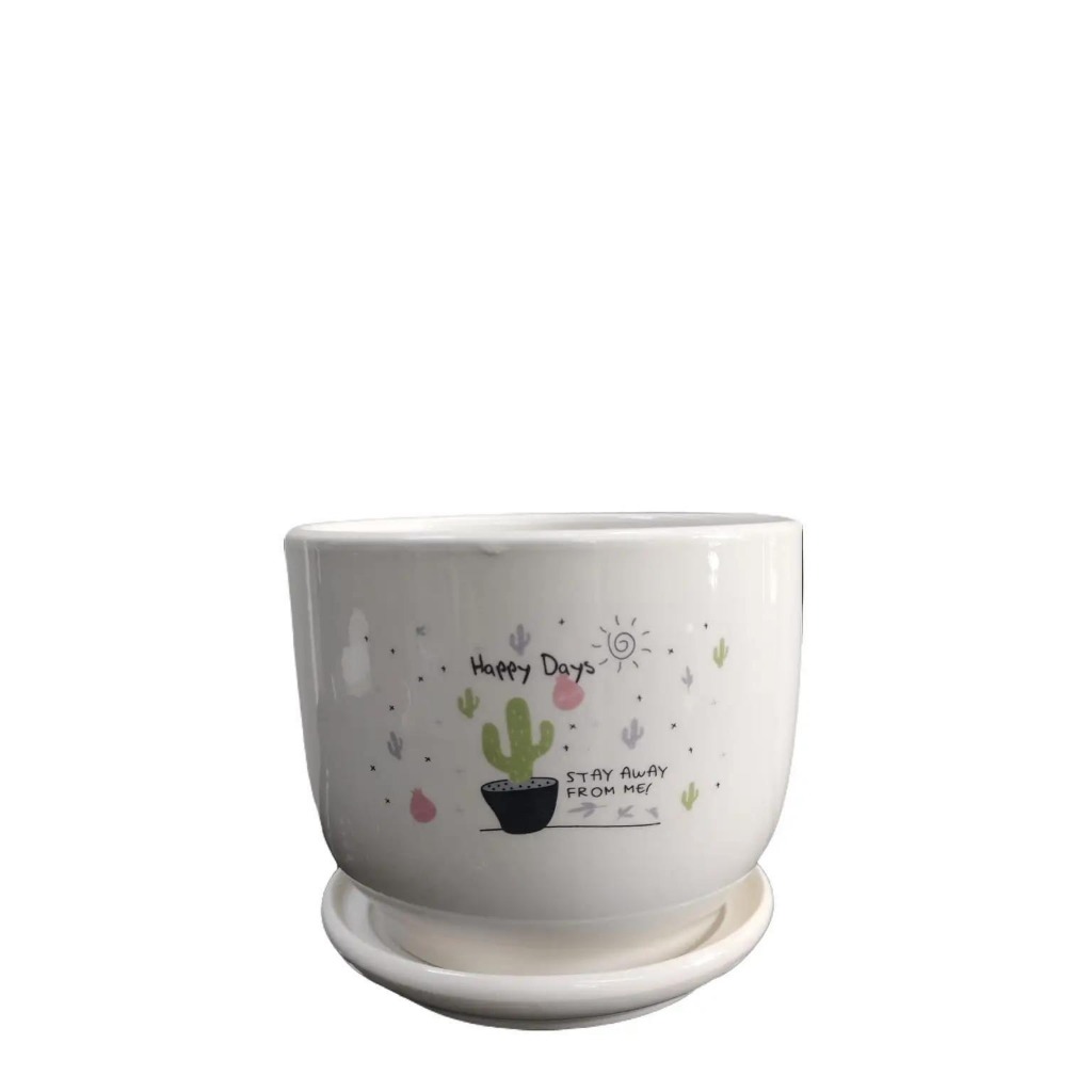 Pot Keramik Pot Mini Vas Bunga Model Bulat Gambar Kaktus