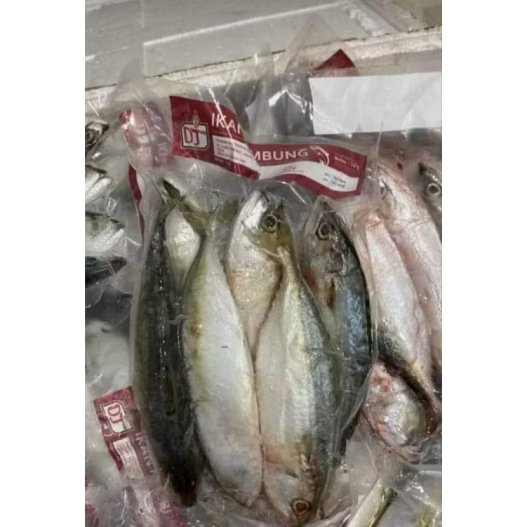 

Ikan Kembung Frozen 1kg