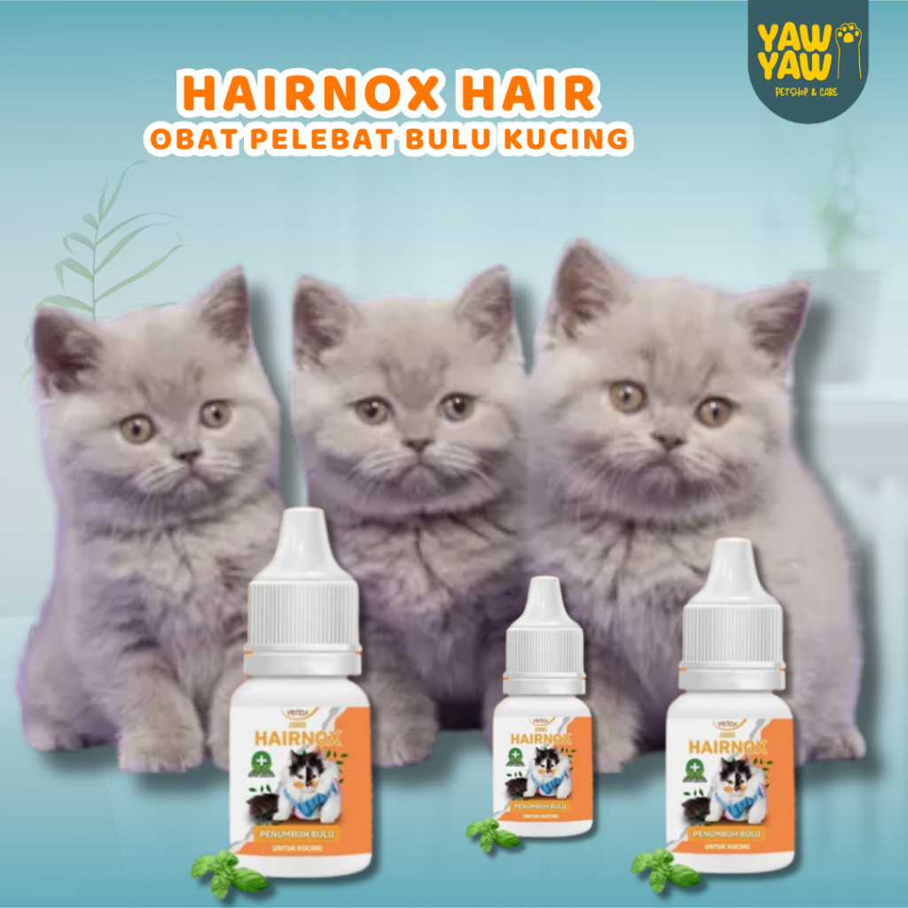 Obat Pelebat Bulu Kucing Hairnox Mengurangi Rontok Venox ObatMelebatkan Bulu Mengurangi Bulu Rontok