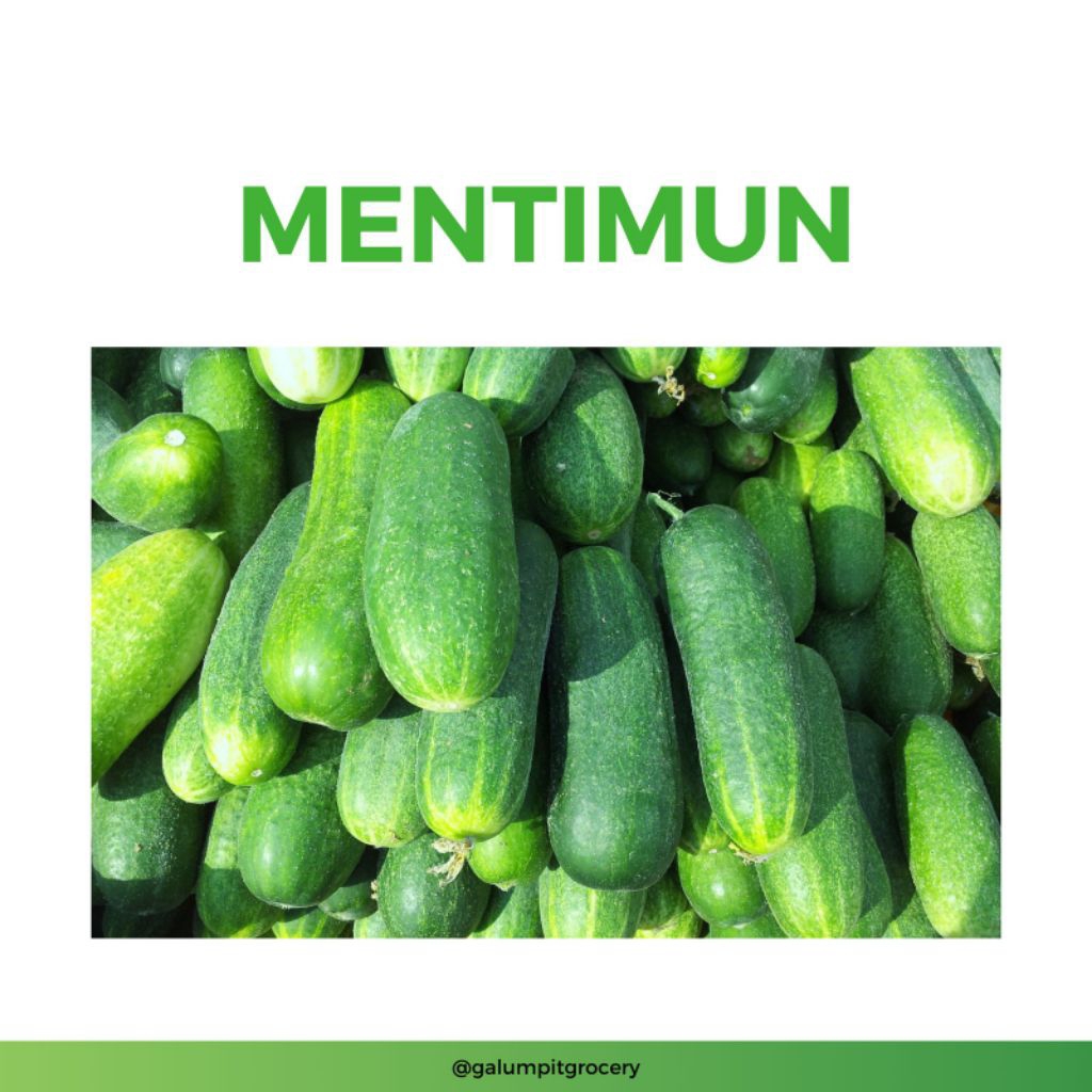 

Timun/Bonteng Segar 230-250gr | Kirim Instant Bandung Timur