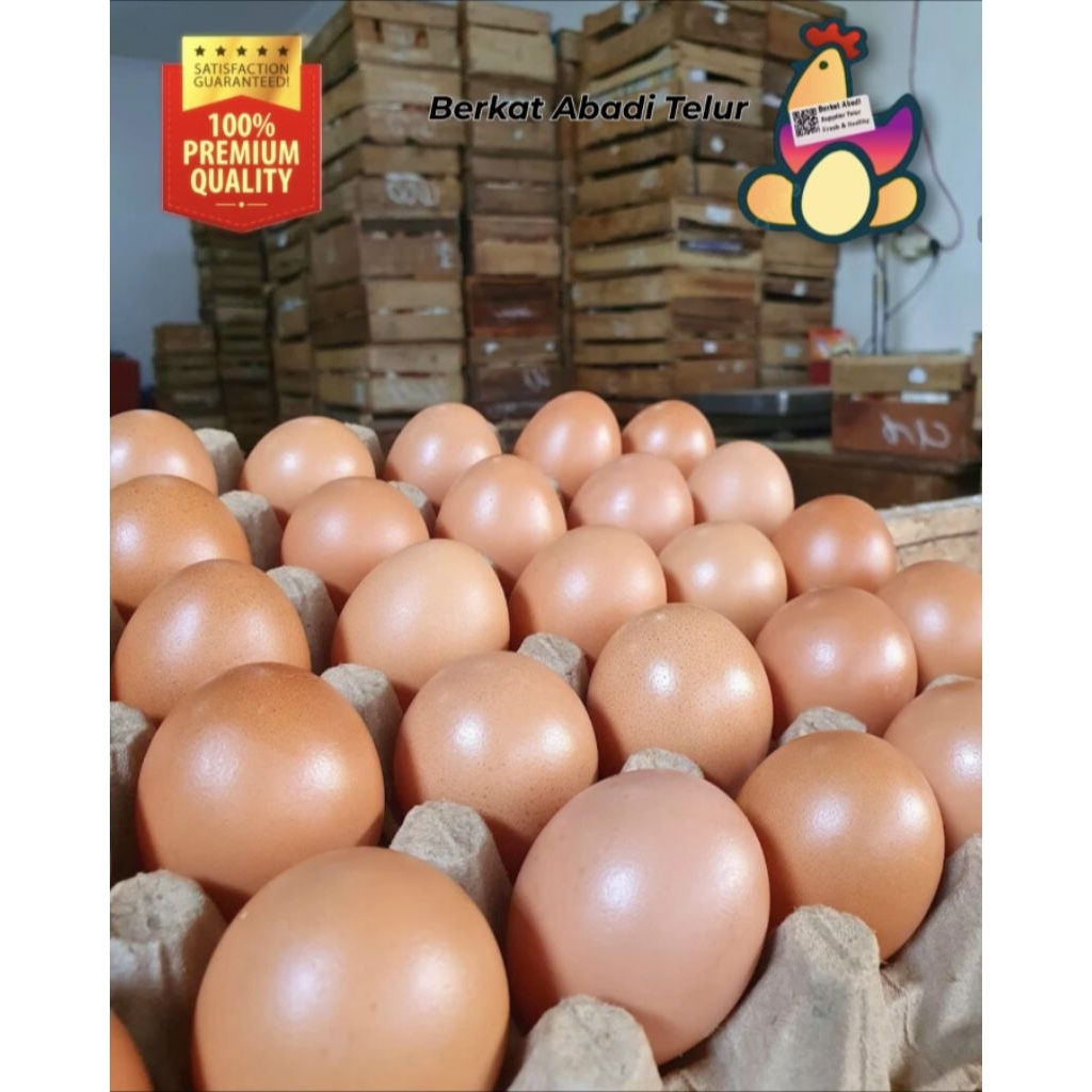 

telur ayam negri premium segar bersih 1kg