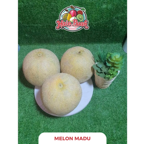 

Buah Melon Madu Manis 2.5 - 3 kg