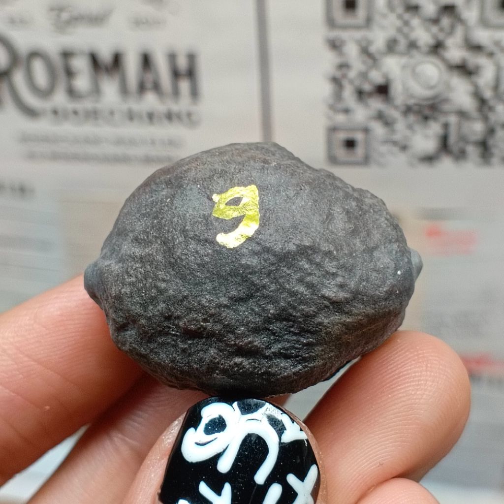 Muncang Adu Manohara Childs kode 9