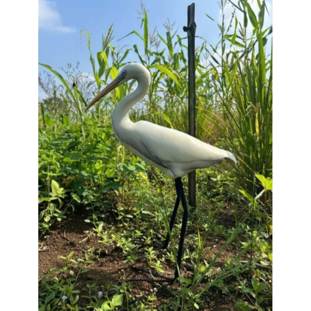 Patung Burung Kuntul Natural Warna Putih - Dekorasi Rumah Modern - Hiasan Kolam Dan Taman