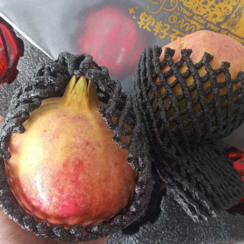 

Buah Delima Merah Import | Red Pomegranate