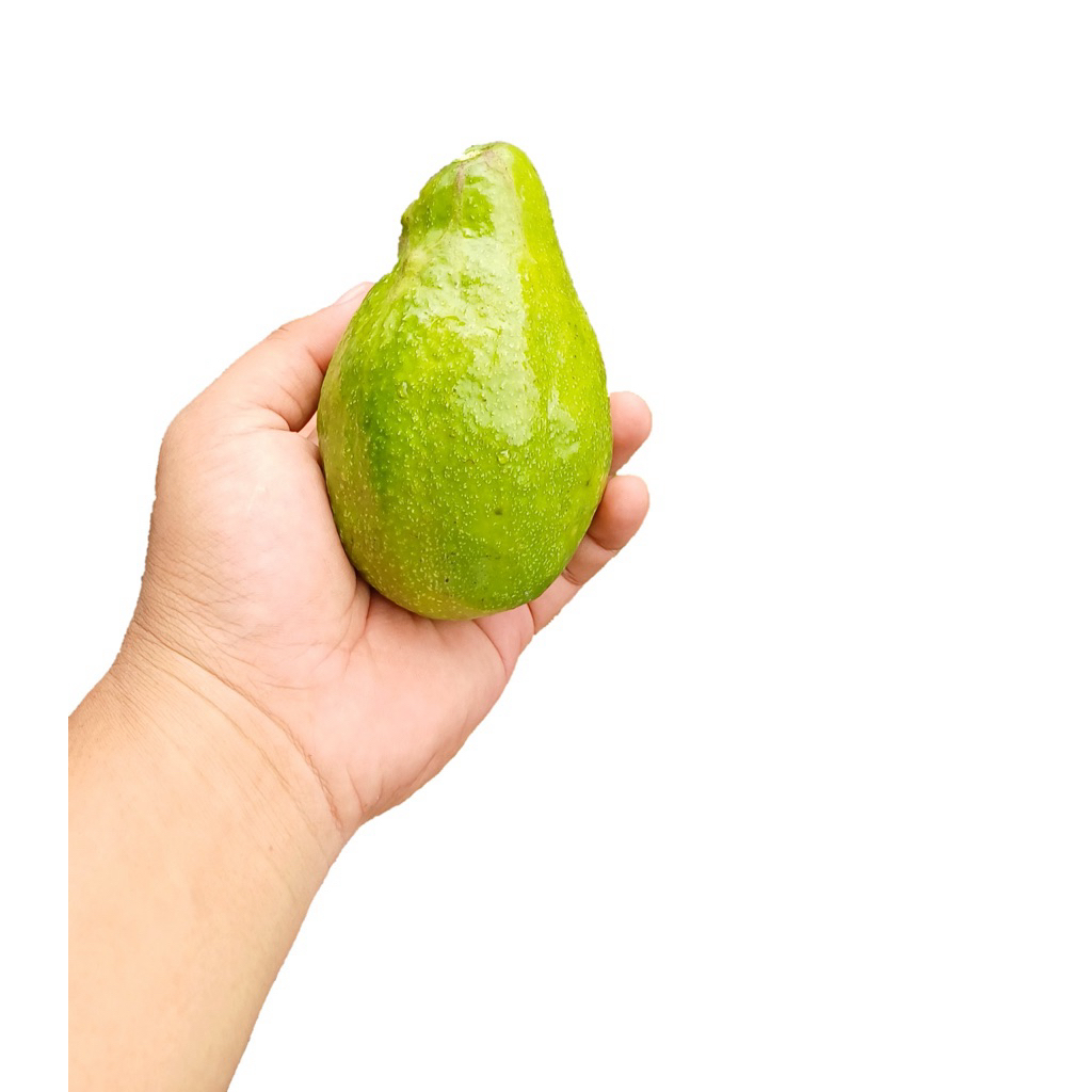 

alpukat mentega isi 4 /kg