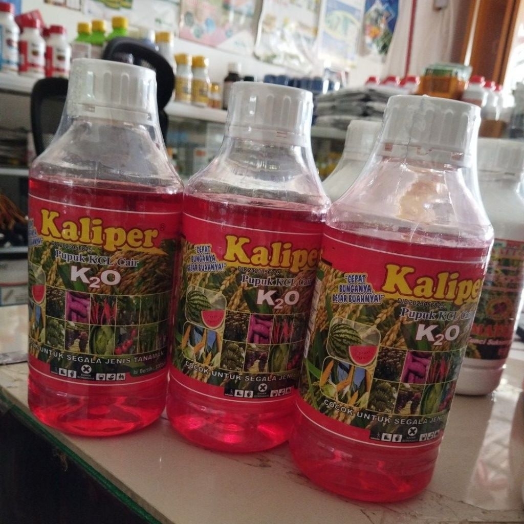 KALIPER pupuk KCL cair (untuk semua Jenis tanaman)