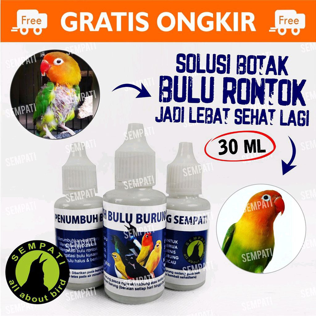 SEMPATI Obat Penumbuh Bulu Burung Sempati Obat Burung Bulu Rontok Patah Mabung Ngurak Moulting Lama 