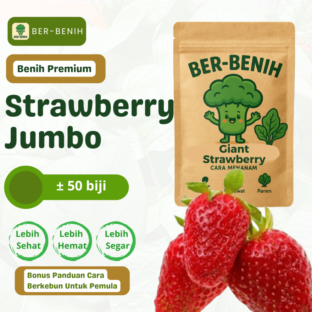 Ber-Benih II Benih Strawberry Jumbo - Strawberry Besar Unggulan