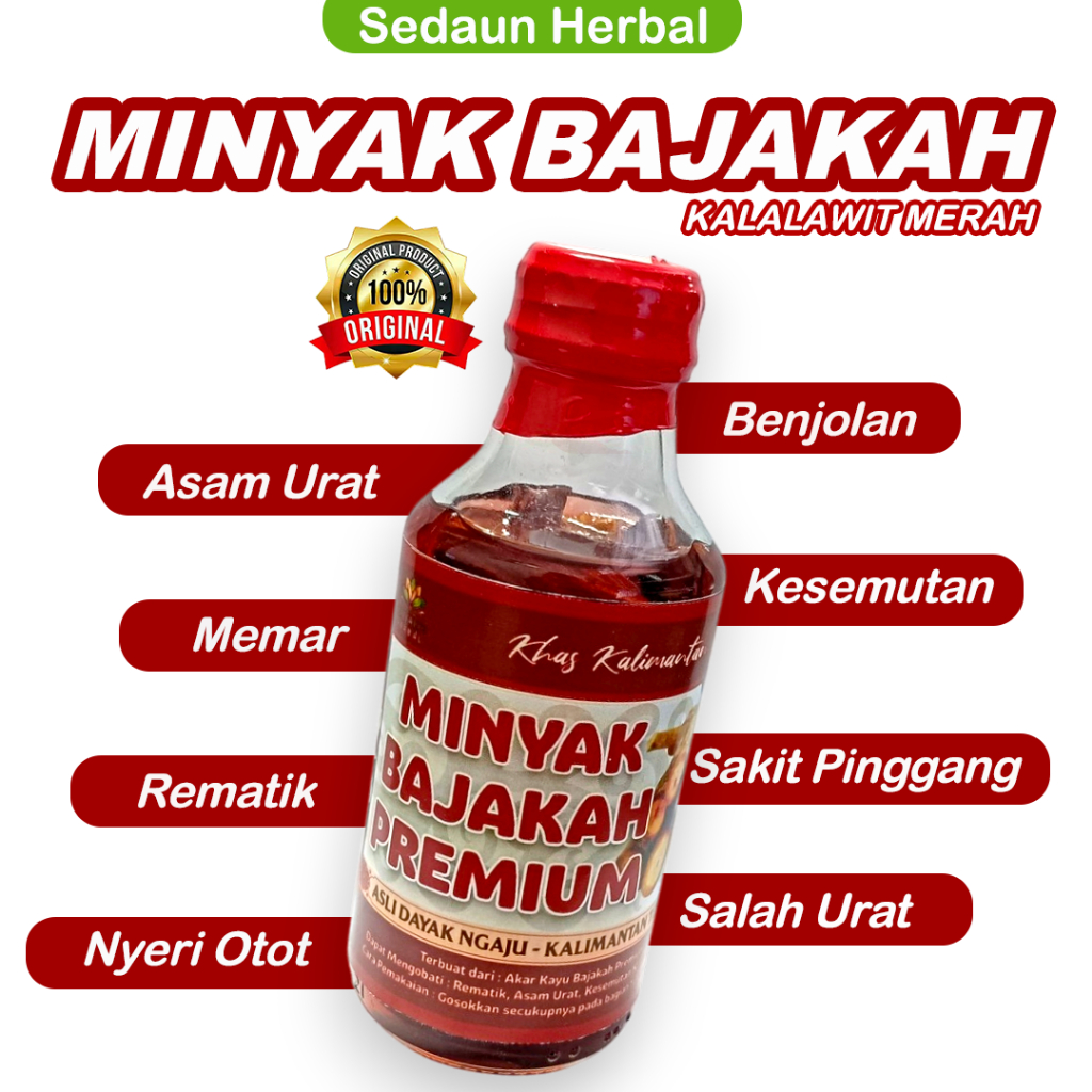 Minyak Urut Bajakah Premium Asli 100% Berkhasiat Kalalawit Khas Kalimantan