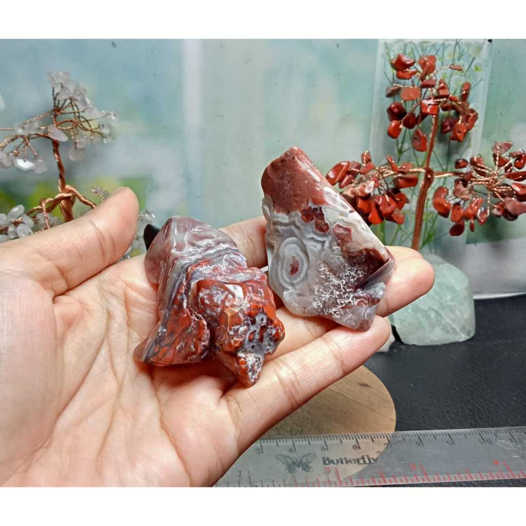 Batu Natural Mexico Agate pattern polished rough (5)