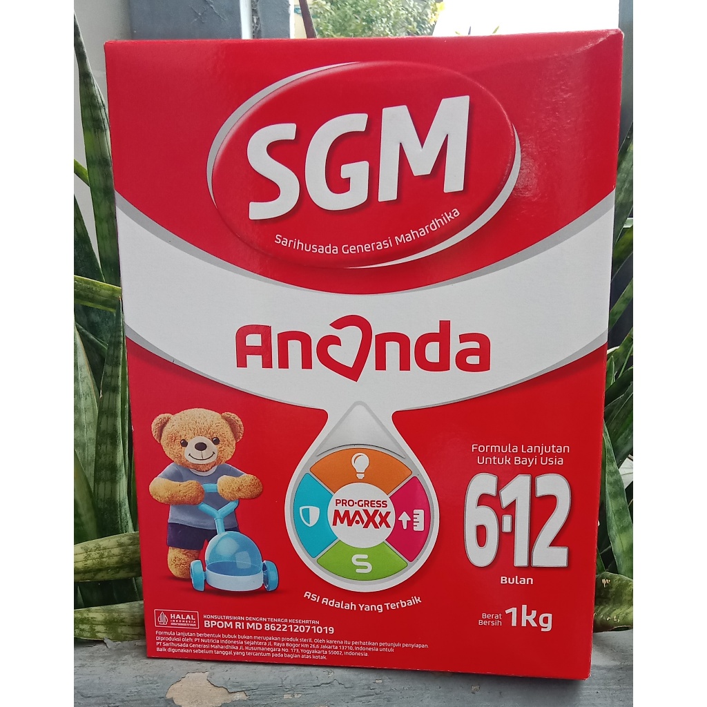 Susu Pertumbuhan Anak SGM 6-12 Bulan 1kg/ SGM 2 1000 GR