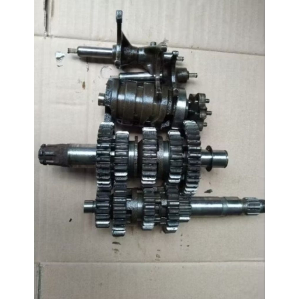 Gigi Rasio Byson Karbu Original Seken