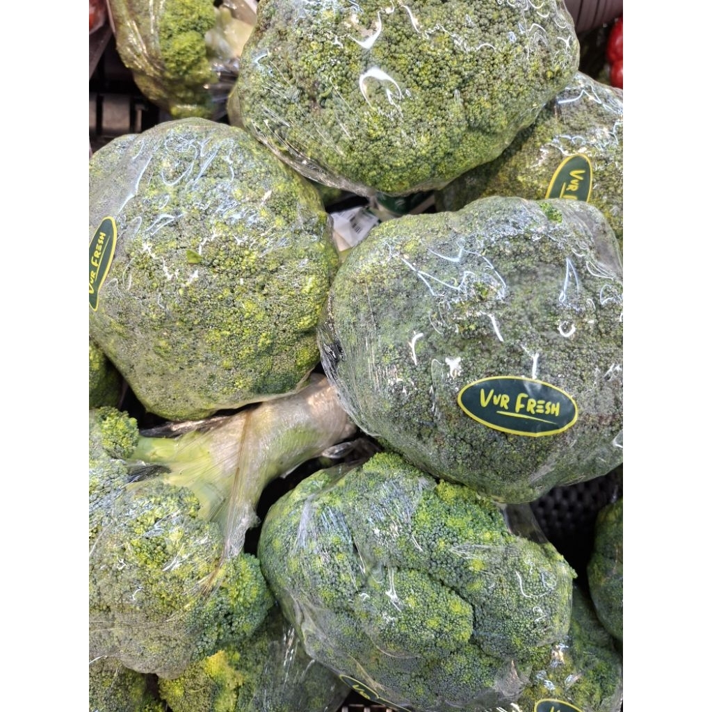 

BROKOLI LOKAL BANDUNG FRESH