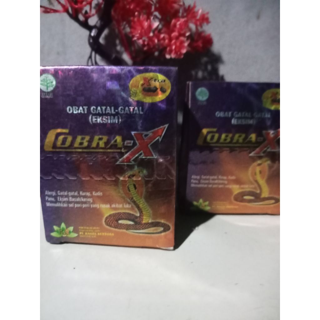 cobra x gatal-gatal