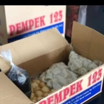 Pempek123 frozen isi 25 PK asli Lampung