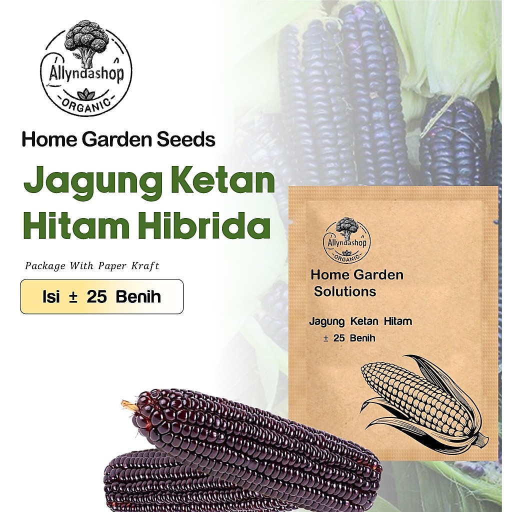 Benih Jagung Ketan Hitam Manis Jepang