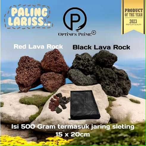 Batu Lava Rock Asli Media Filter Akuarium Kualitas Premium Taiwan