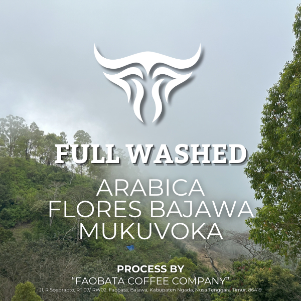 

Green Beans Arabica Flores Bajawa Full Washed G1 Faobata Coffee