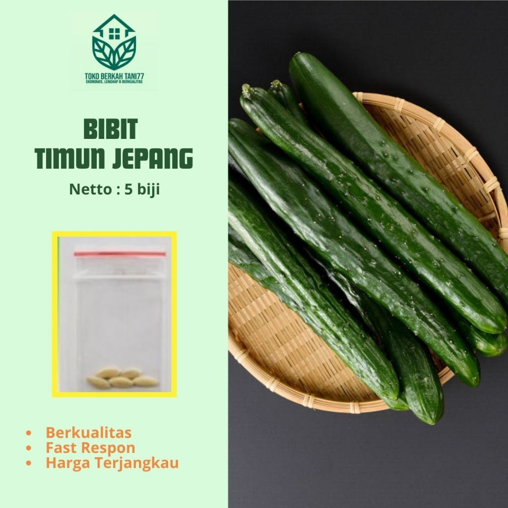 Benih Timun Jepang Bibit Timun Jepang Sayuran Mentimun Jepang Unggul Bibit Tanaman Berkualitas