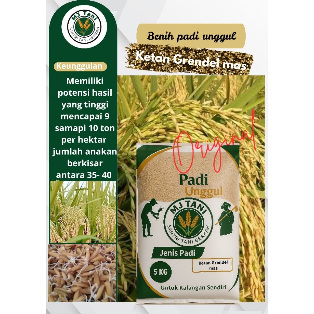 

bibit padi KETAN GRENDEL MAS 5KG