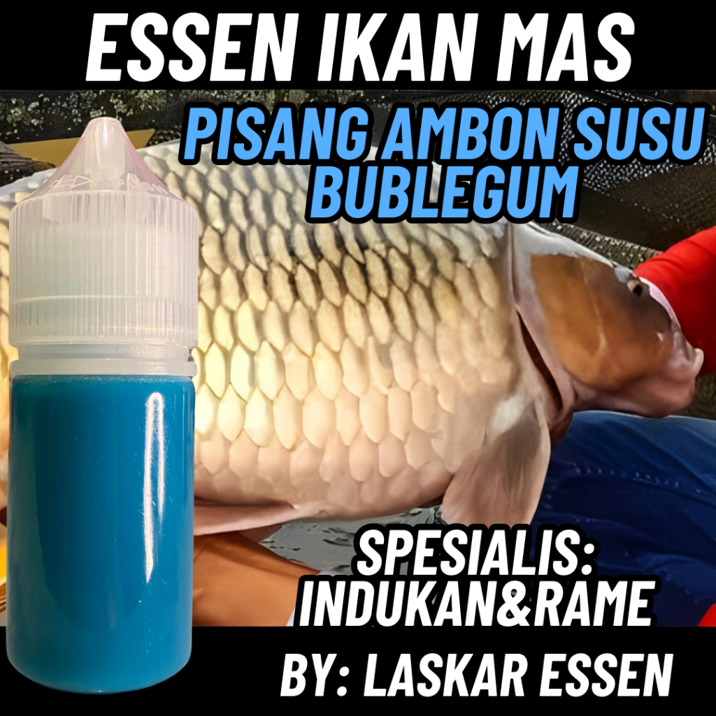 Essen Ikan Mas Paling Gacor Essen Ikan Mas Amis Wangi Aroma Pisang Ambon Bublegum Essen Ikan Mas Pal