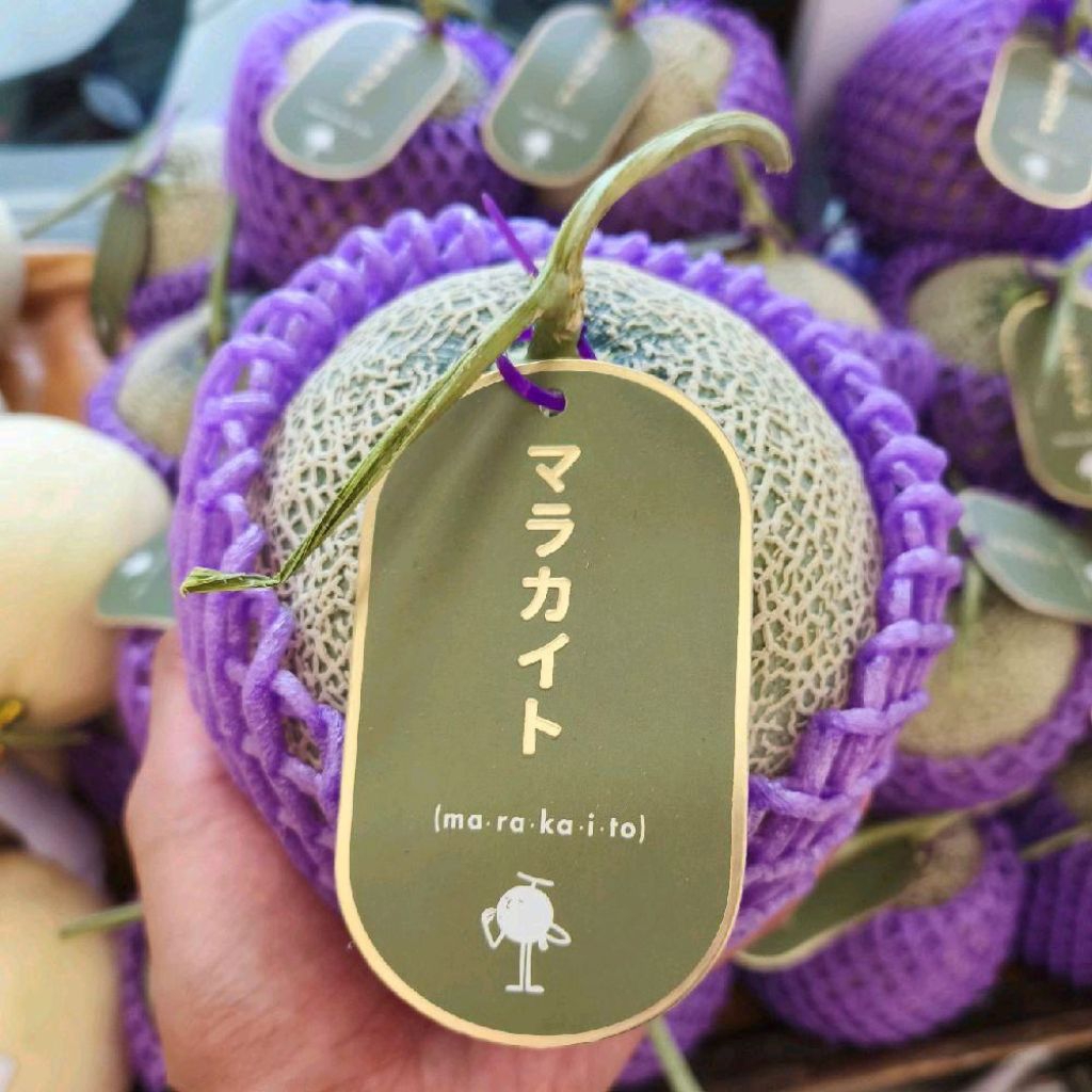 

Buah melon super manisss marakaito melon daging hijau super sweet 1,2 kg