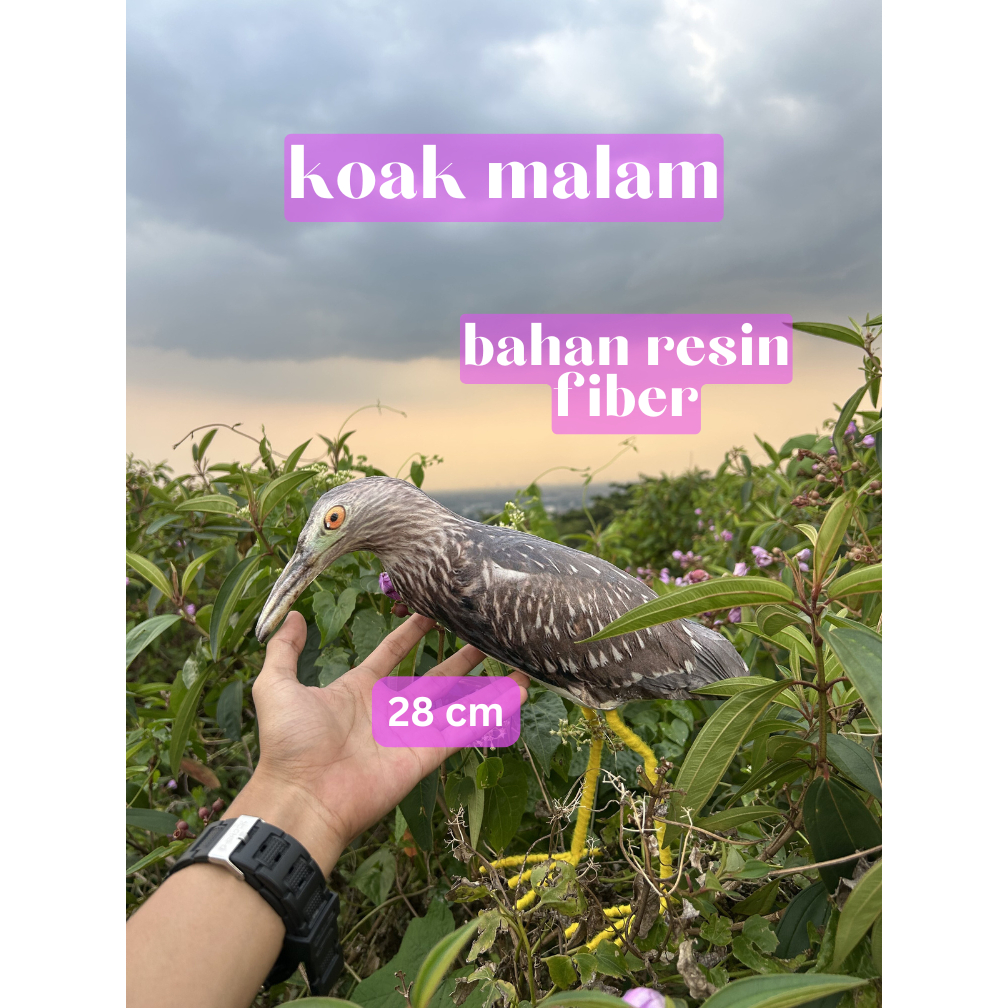 Patung jontrot/pikat hiasan burung koak malam