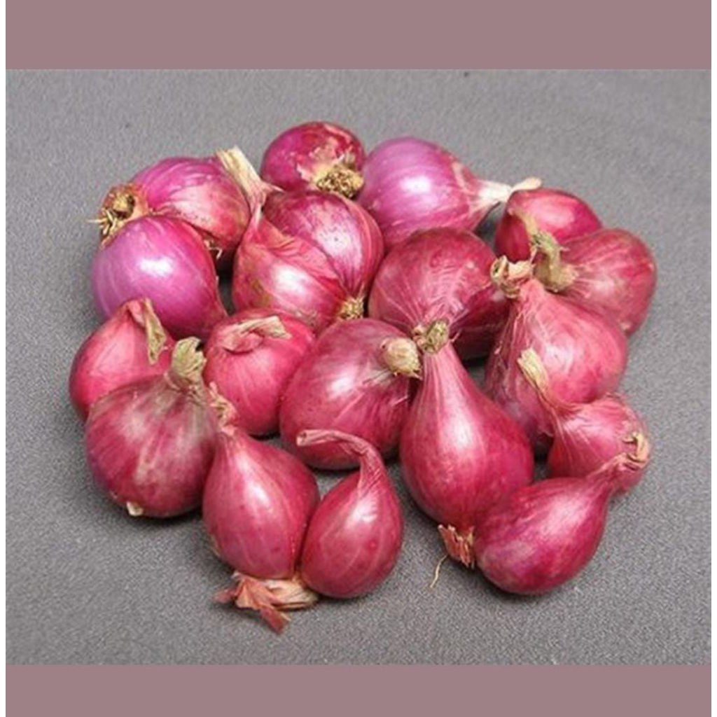 Bawang merah lokal probolinggo bawang merah lokal nganjuk