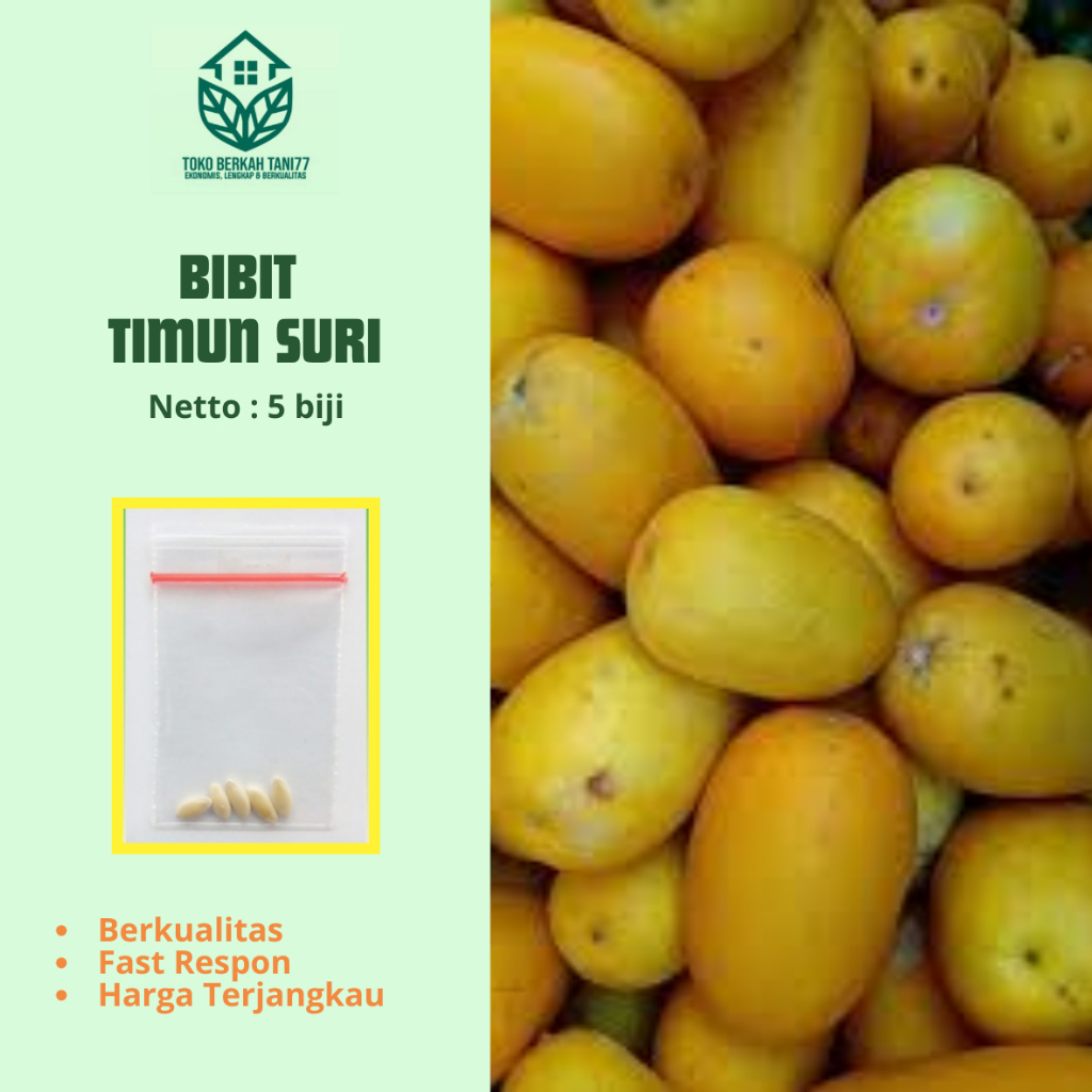 Benih Timun Suri Bibit Timun Suri Sayuran Timun Suri Benih Sayur Rumahan Berkualitas