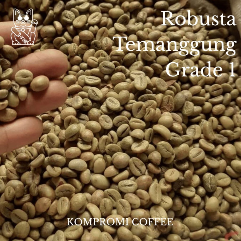 Robusta Temanggung Grade 1 | Biji Kopi Robusta Temanggung | Green Bean Robusta Temanggung Grade 1