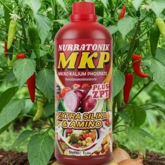Spesial pembesar buah dan umbi pupuk MKP NURRATONIX