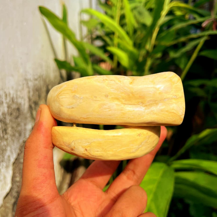Gelang Akar Bahar Putih Natural Size Jumbo Original / Gelang Akar Bahar