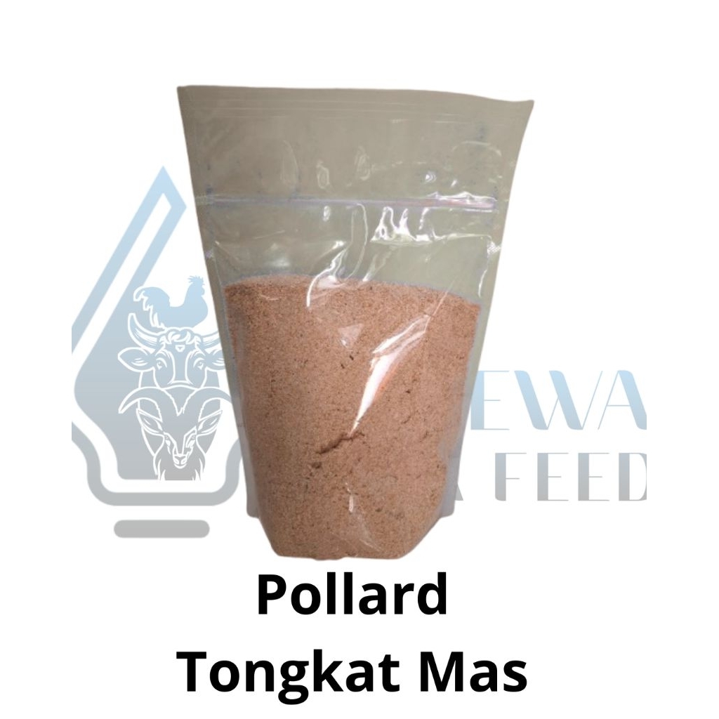 Pollard Tongkat Mas Pakan Sapi Kambing dan Domba 1 Kg