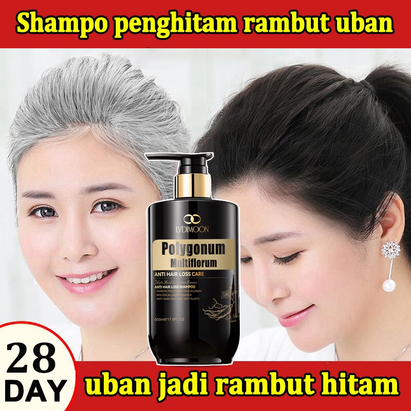 Shampo Penghitam Rambut Uban Shampo Penghitam Rambut Uban Permanen 100% Ampuh Original 500ml Ekstrak