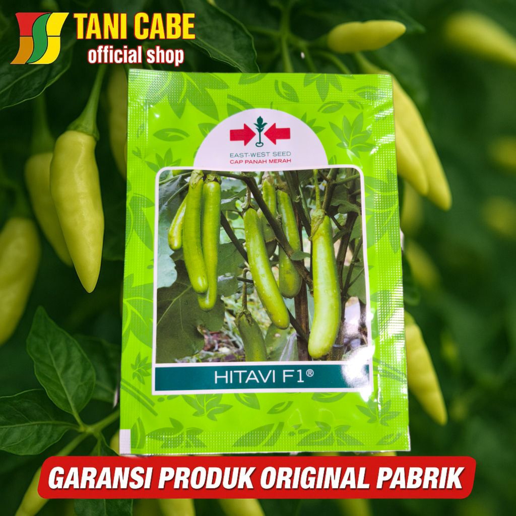 hitavi f1 benih terong hijau